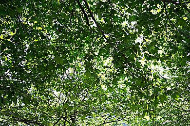 《灵魂骇客2》1.02版本更新上线：新增冲刺和高速战斗